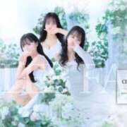 ヒメ日記 2026/03/06 12:20 投稿 さりな　心も体も癒し系最強 CELEB FACE NAKASU