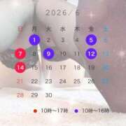 ヒメ日記 2026/06/01 13:49 投稿 いちか　人妻感と妖艶な雰囲気 CELEB FACE NAKASU