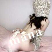 ヒメ日記 2025/11/24 14:29 投稿 まな　滑らかな素肌の美妻 CELEB FACE NAKASU