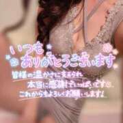 ヒメ日記 2025/11/21 01:49 投稿 けい　ハイクオリティ美女 CELEB FACE NAKASU