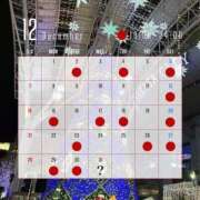 ヒメ日記 2025/11/25 12:17 投稿 けい　ハイクオリティ美女 CELEB FACE NAKASU