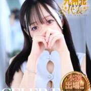 ヒメ日記 2025/12/04 04:49 投稿 まゆ　清楚系の幼妻 CELEB FACE NAKASU