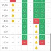 ヒメ日記 2025/12/12 12:39 投稿 まゆ　清楚系の幼妻 CELEB FACE NAKASU