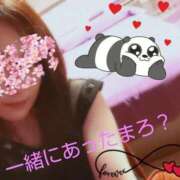 ヒメ日記 2025/11/24 04:19 投稿 さら　官能的な幸福感 CELEB FACE NAKASU