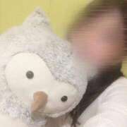 ヒメ日記 2026/02/03 19:25 投稿 うい　小柄な巨乳若妻 CELEB FACE NAKASU