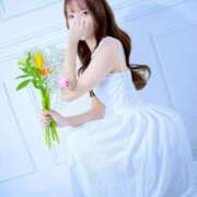 ヒメ日記 2025/11/29 11:00 投稿 めい　絶景の美若妻 CELEB FACE NAKASU