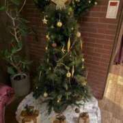 ヒメ日記 2025/12/21 01:09 投稿 めい　絶景の美若妻 CELEB FACE NAKASU