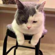 ヒメ日記 2026/02/07 21:19 投稿 めい　絶景の美若妻 CELEB FACE NAKASU