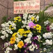 ヒメ日記 2026/03/19 00:29 投稿 めい　絶景の美若妻 CELEB FACE NAKASU