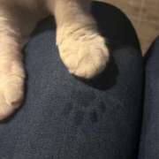 ヒメ日記 2025/11/14 21:19 投稿 りん　極美スレンダーボディー CELEB FACE NAKASU