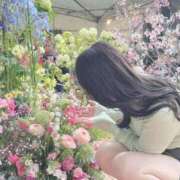 ヒメ日記 2026/03/29 23:05 投稿 ききょうSS級の接客レベルと美貌 CELEB FACE NAKASU