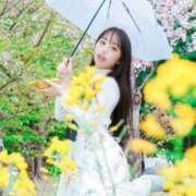 ヒメ日記 2026/04/17 18:29 投稿 ききょうSS級の接客レベルと美貌 CELEB FACE NAKASU