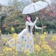 ヒメ日記 2026/05/24 17:13 投稿 ききょうSS級の接客レベルと美貌 CELEB FACE NAKASU