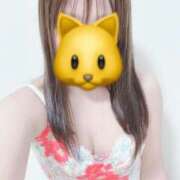 ヒメ日記 2026/02/09 08:40 投稿 ここな　Hな事に興味深々若妻 CELEB FACE NAKASU