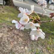 ヒメ日記 2026/03/28 16:19 投稿 れいな CELEB FACE NAKASU