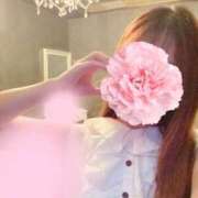 ヒメ日記 2026/08/29 08:49 投稿 れいな CELEB FACE NAKASU
