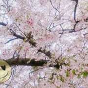 ヒメ日記 2026/04/03 17:29 投稿 さや　ねっとりと濃厚なご奉仕 CELEB FACE NAKASU