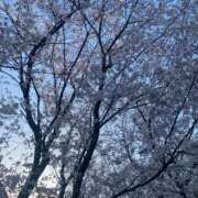 ヒメ日記 2026/04/07 13:33 投稿 りあ　従順で優しいご奉仕M CELEB FACE NAKASU