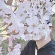 ヒメ日記 2026/04/10 21:09 投稿 ちひろ　 超癒しのGカップ CELEB FACE NAKASU