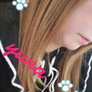 ヒメ日記 2026/02/14 17:25 投稿 ゆな ギン妻パラダイス 十三店