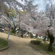 ヒメ日記 2026/04/02 17:32 投稿 ゆな ギン妻パラダイス 十三店