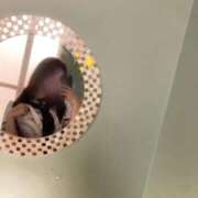 ヒメ日記 2025/11/17 22:45 投稿 らむ 秋葉原コスプレ学園in西川口