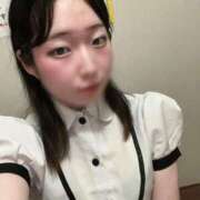 ヒメ日記 2025/11/21 19:41 投稿 ゆう しゃんぜりぜ