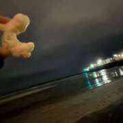 ちなつ おやすみちゅー🐣 丸妻 厚木店