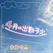 ヒメ日記 2026/04/12 17:04 投稿 ちなつ 丸妻 厚木店