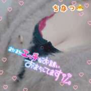 ヒメ日記 2026/04/17 17:26 投稿 ちなつ 丸妻 厚木店