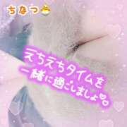 ちなつ もどりました🐣 丸妻 厚木店