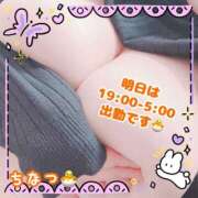 ちなつ 明日は19時から！ モアグループ丸妻厚木店