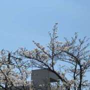 ヒメ日記 2026/04/30 17:39 投稿 みるふぃ バカンス学園　谷九校