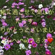 ヒメ日記 2025/10/23 17:35 投稿 さえ 性腺熟女100％鶯谷（デリヘル市場）
