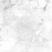 ひかる 明日は CECIL