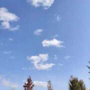 ヒメ日記 2025/11/08 17:25 投稿 れい 那珂川角海老