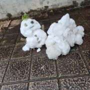 れい 昨日のお礼 那珂川角海老