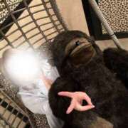 れん 忍び込んじゃうぞ サマンサ(和歌山)