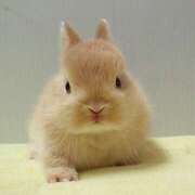 ヒメ日記 2025/11/28 19:58 投稿 かなた 完熟ばなな川崎