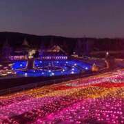 ヒメ日記 2026/01/10 03:18 投稿 花咲るん【優等生】 素人専門　街角レディ