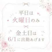 ヒメ日記 2026/05/28 16:50 投稿 宝塚るり【PREMIUM】 素人専門　街角レディ