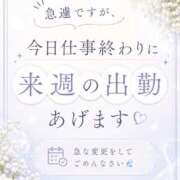 ヒメ日記 2026/06/14 12:10 投稿 宝塚るり【PREMIUM】 素人専門　街角レディ