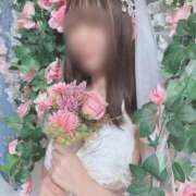ヒメ日記 2026/04/28 19:50 投稿 青山せりか【優等生】 素人専門　街角レディ