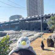 ヒメ日記 2026/05/19 20:40 投稿 青山せりか【優等生】 素人専門　街角レディ