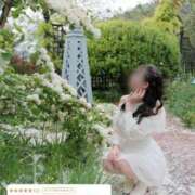 ヒメ日記 2026/05/25 19:50 投稿 青山せりか【優等生】 素人専門　街角レディ