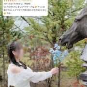 ヒメ日記 2026/06/10 16:50 投稿 青山せりか【優等生】 素人専門　街角レディ