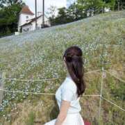 ヒメ日記 2026/06/21 20:00 投稿 青山せりか【優等生】 素人専門　街角レディ