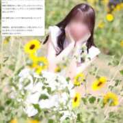 ヒメ日記 2026/07/09 18:10 投稿 青山せりか【優等生】 素人専門　街角レディ