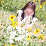 ヒメ日記 2026/09/10 00:20 投稿 青山せりか【優等生】 素人専門　街角レディ