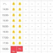 ヒメ日記 2026/09/27 11:00 投稿 青山せりか【優等生】 素人専門　街角レディ